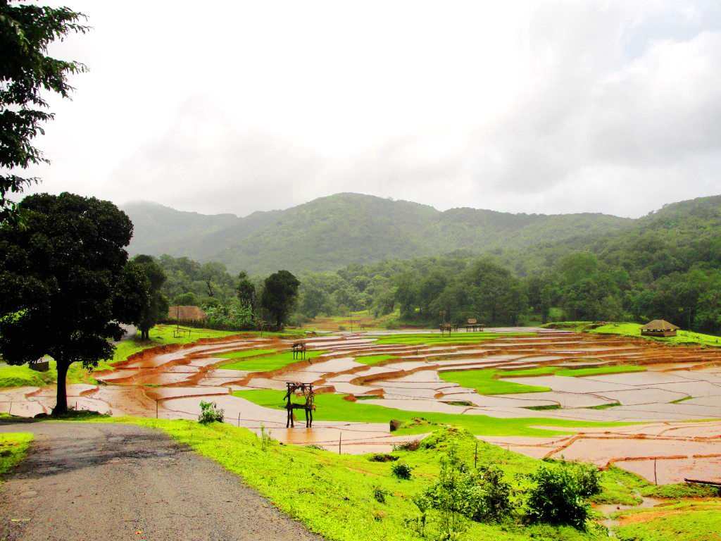 Dandeli Dudhmal